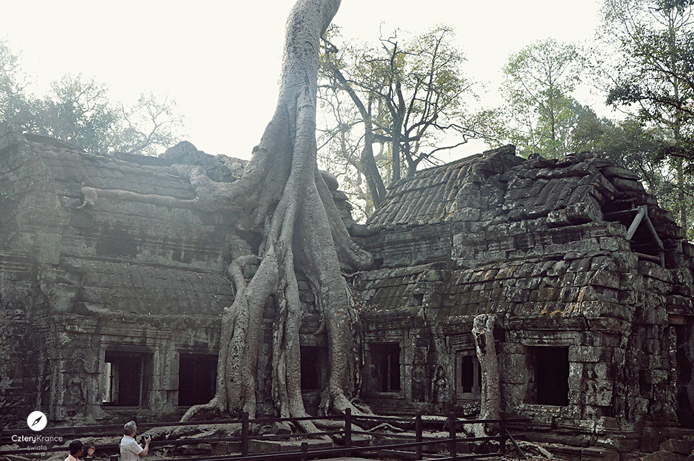 c_0393-copy.jpg