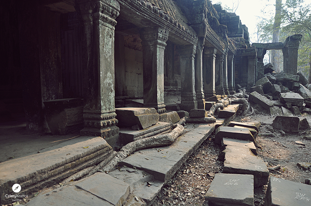 c_0431-copy.jpg