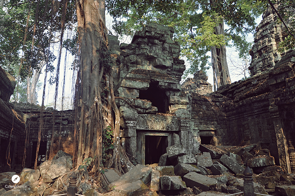 c_0486-copy.jpg