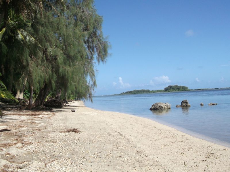dzika plaża.jpg