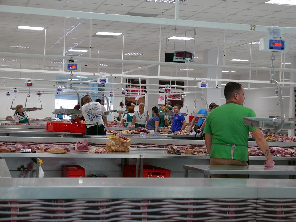 P1010439.jpg