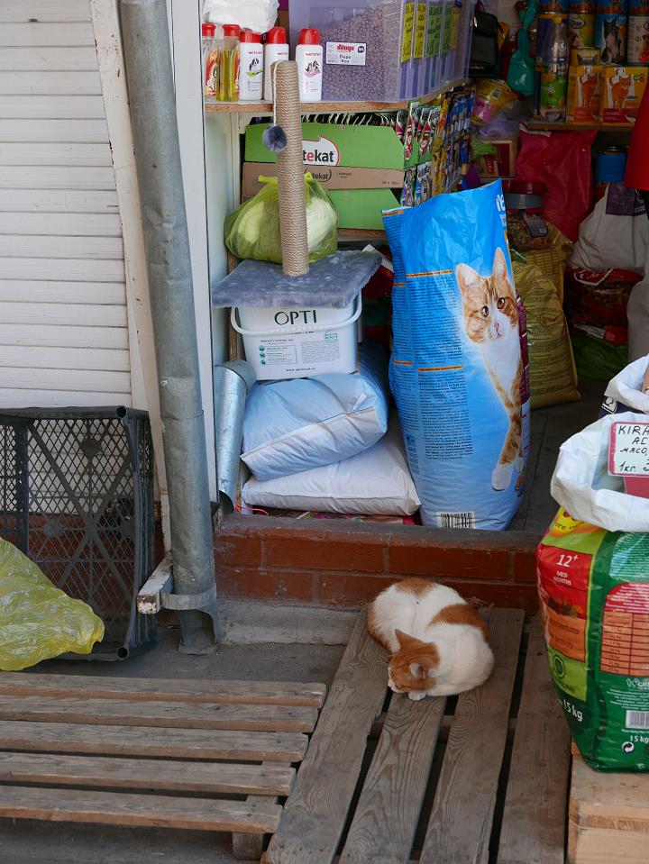 P1010448.jpg