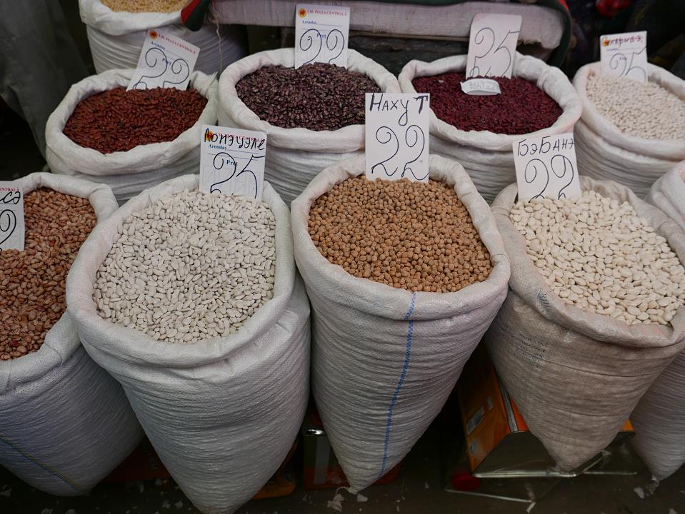 P1010449.jpg