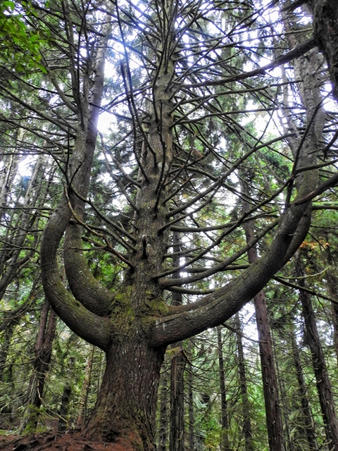 DSCN1350-01.jpeg