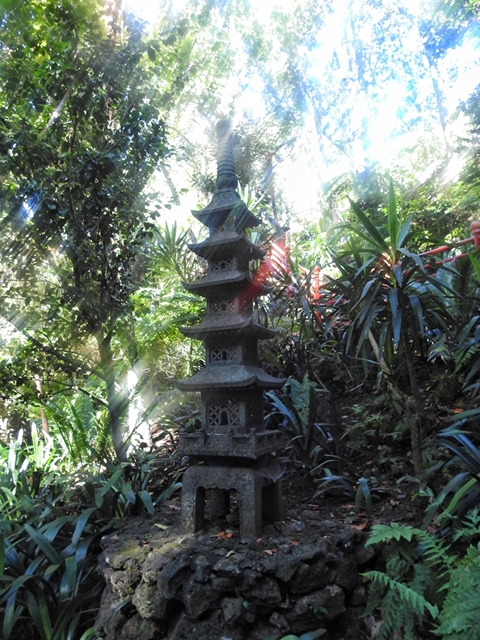 DSCN1767-01.jpeg