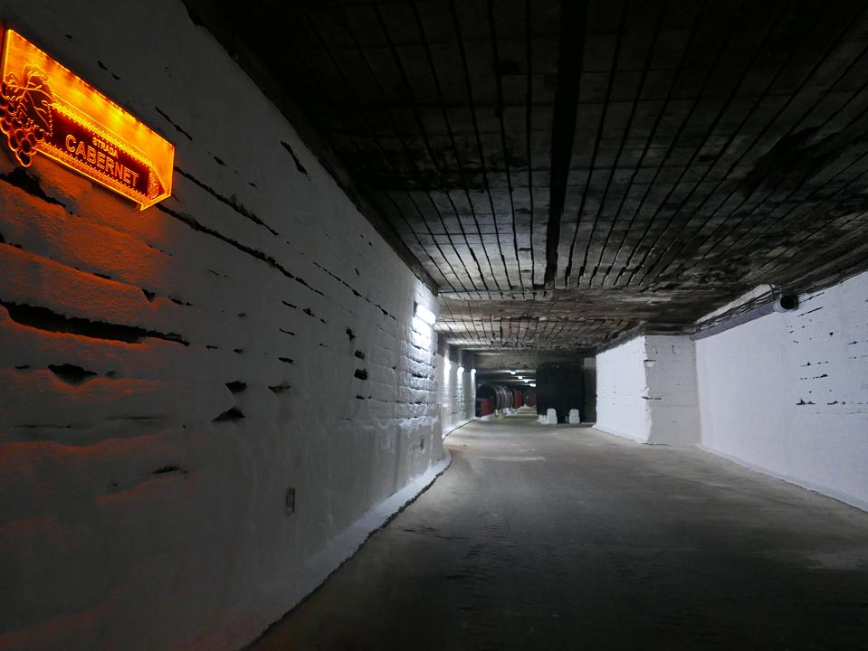 P1010456.jpg