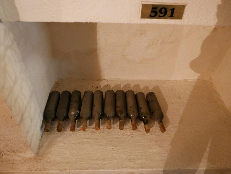 P1010462.jpg