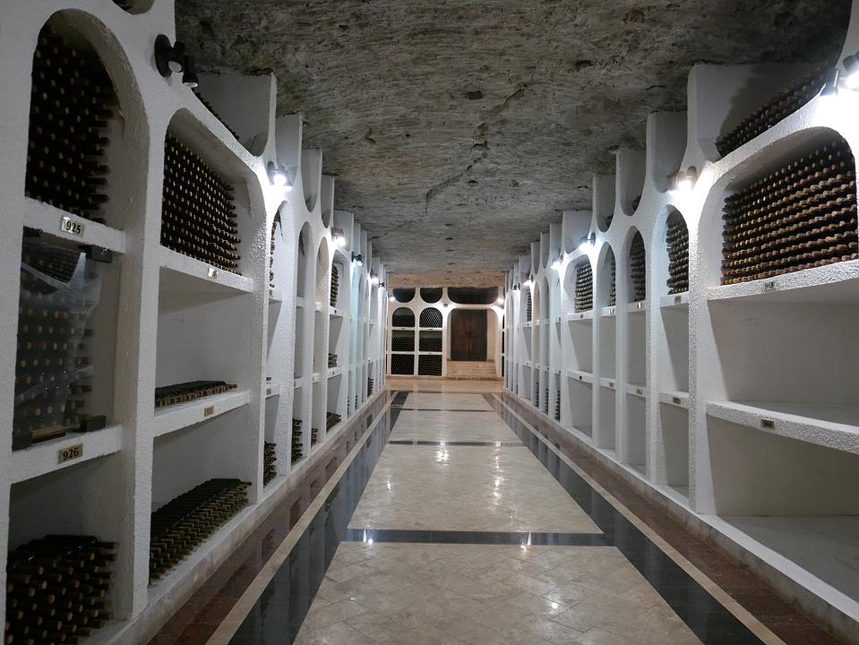 P1010469.jpg