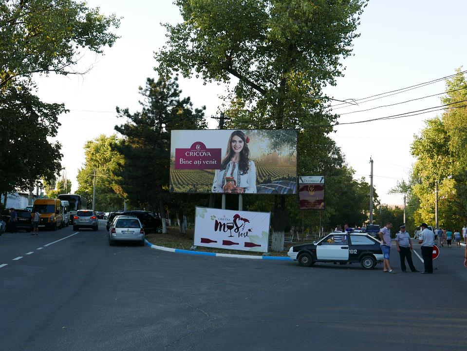 P1010487.jpg