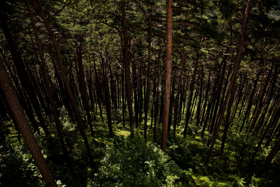 6I2B3205-q.jpg