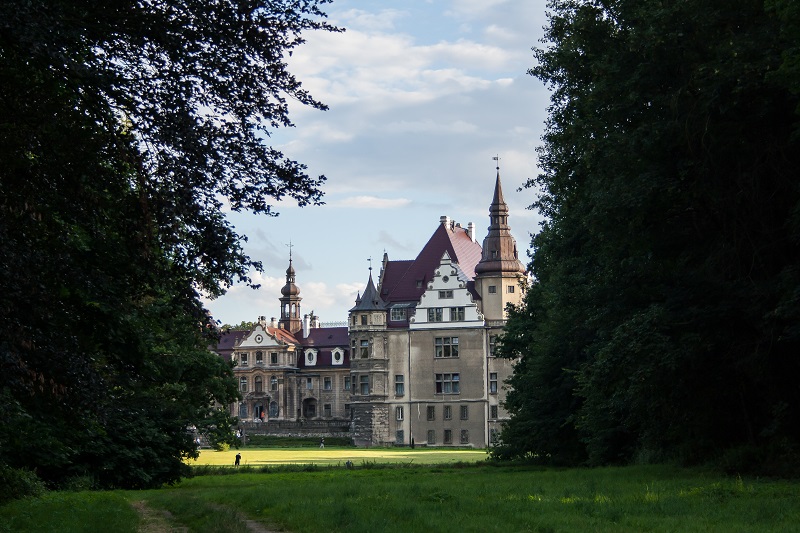 IMG_5855.jpg