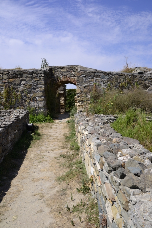 65.jpg
