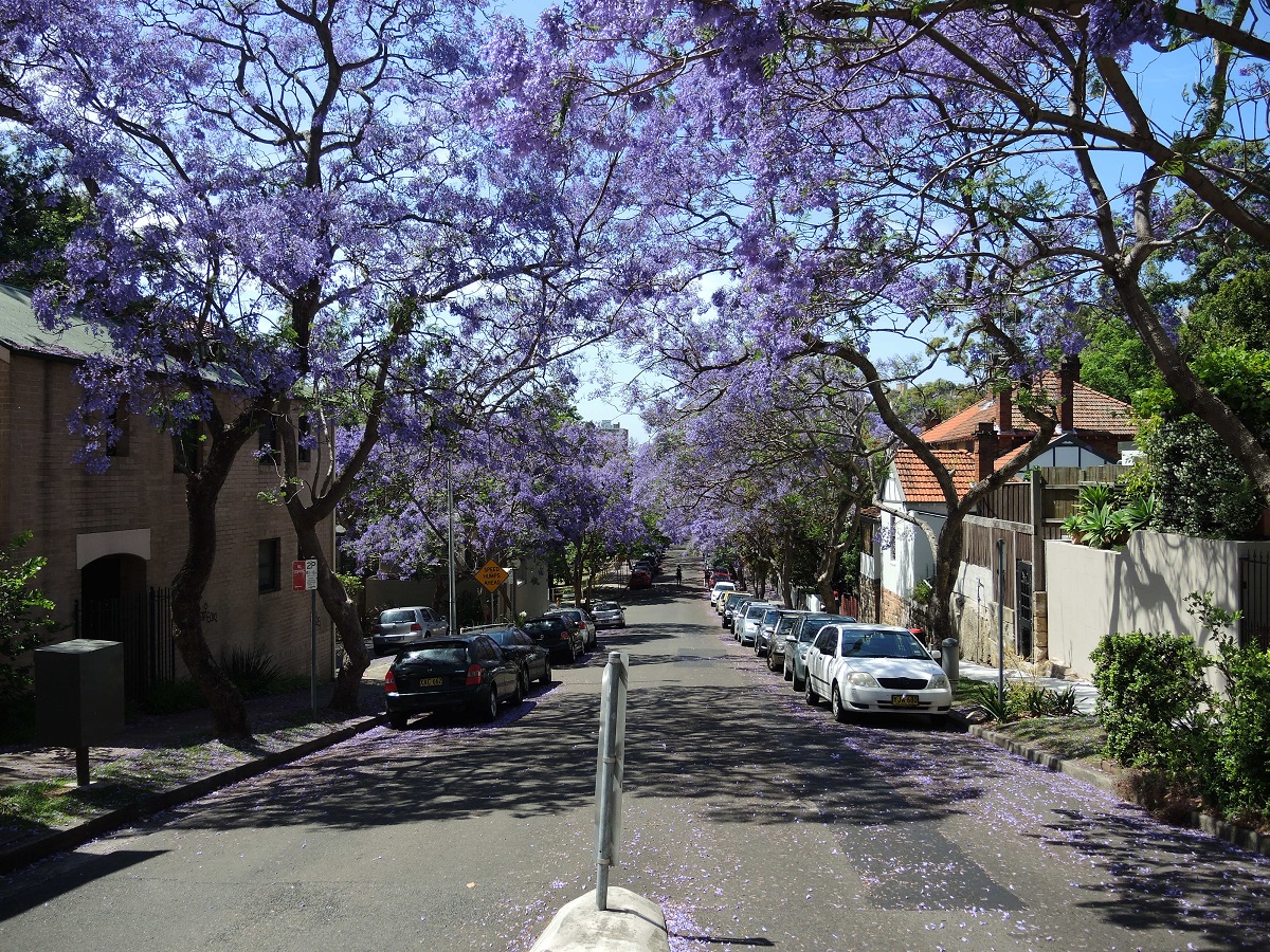 DSCN2654.JPG