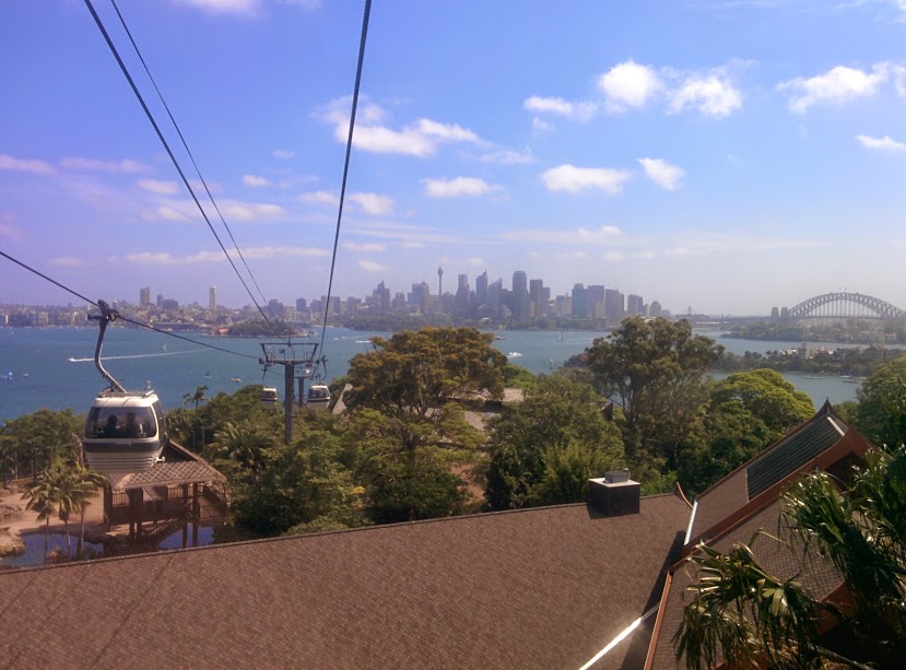 IMG_20141109_145822.jpg