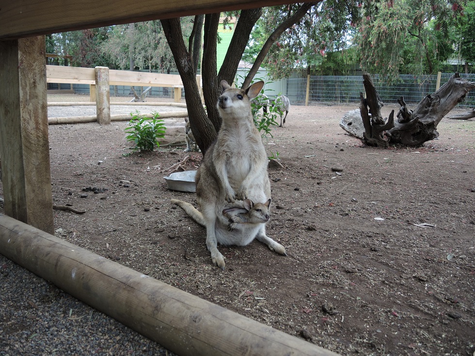 DSCN2843.JPG
