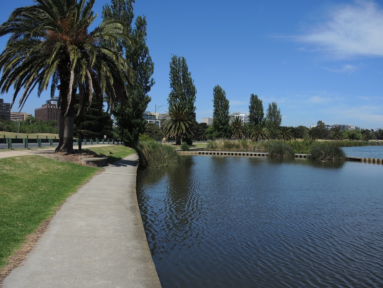 DSCN3018.JPG