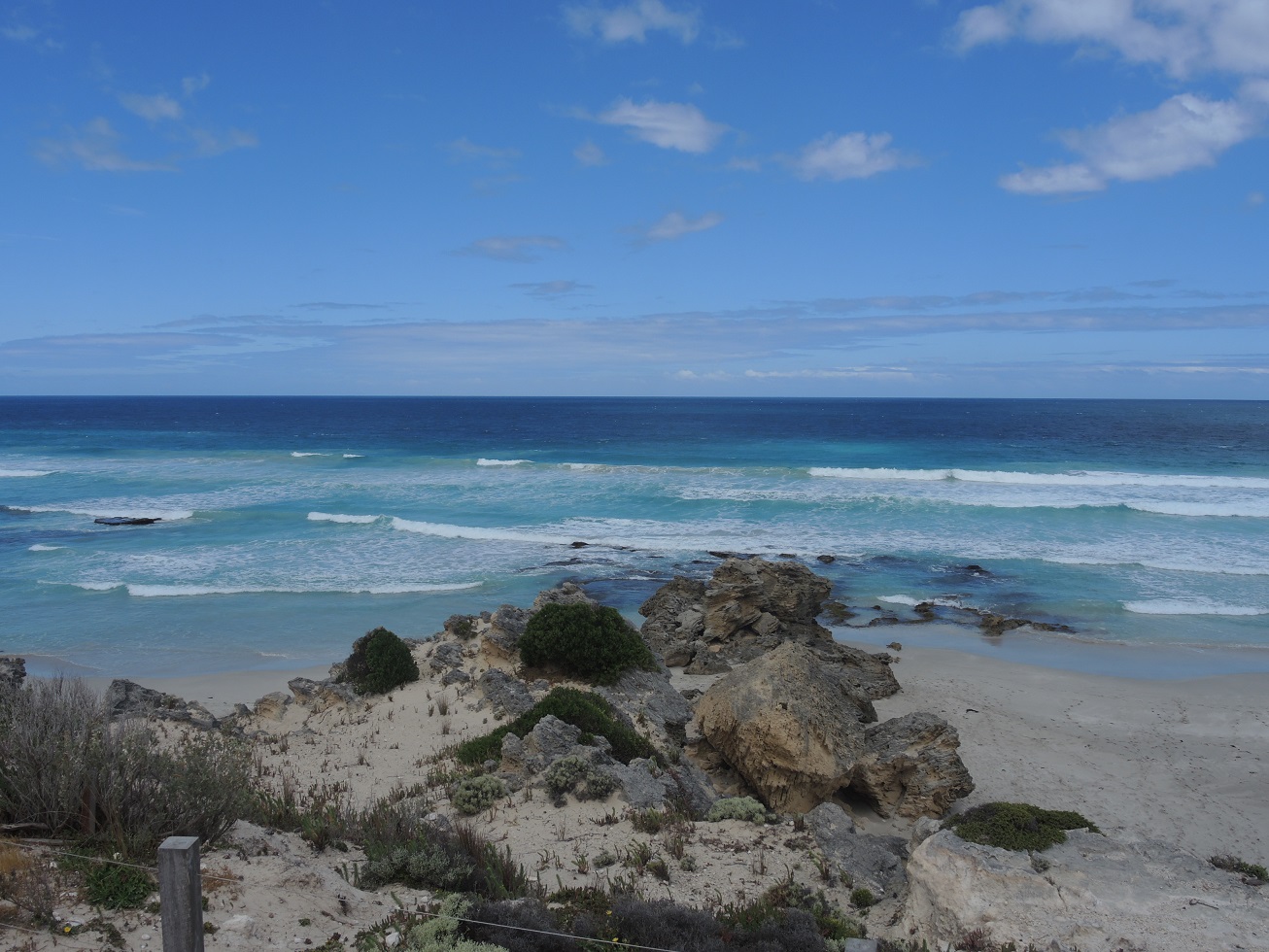 DSCN3535.JPG