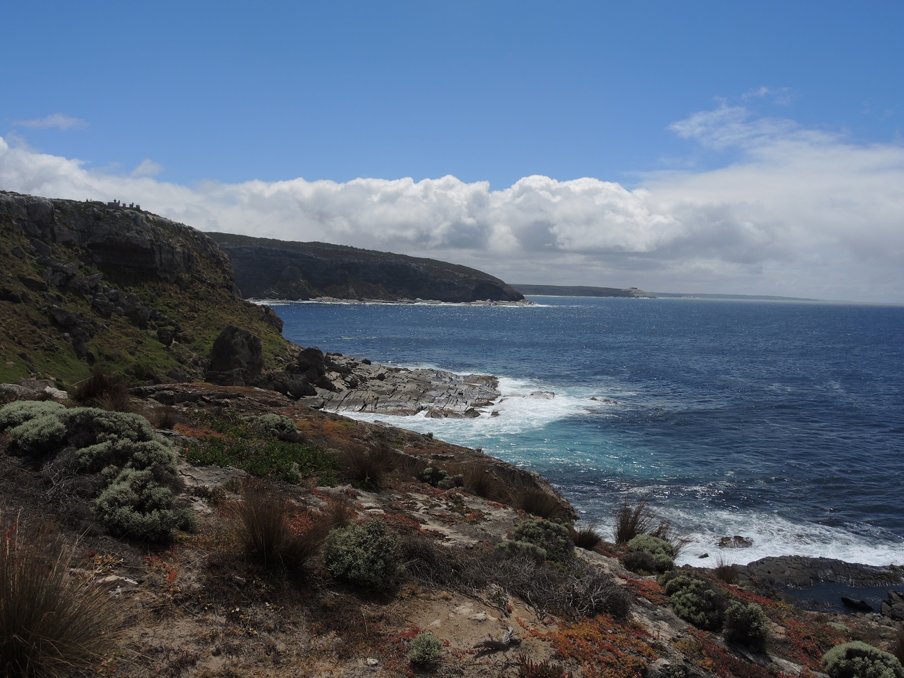 DSCN3402.JPG