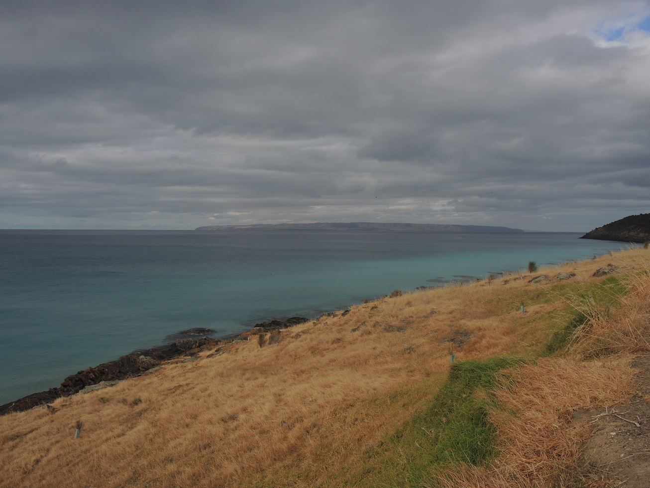 DSCN3544.JPG