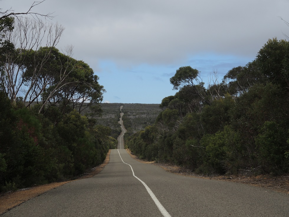 DSCN3384.JPG
