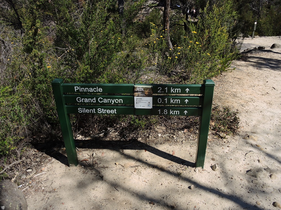 DSCN3562.JPG