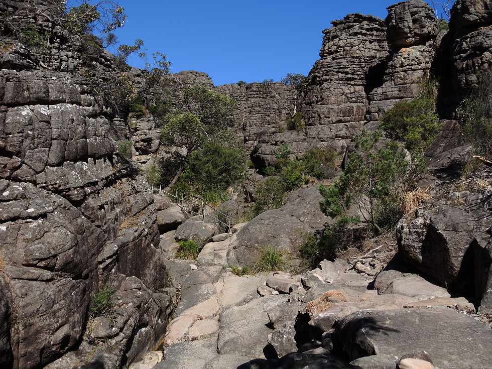 DSCN3570.JPG