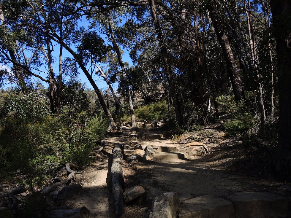 DSCN3590.JPG