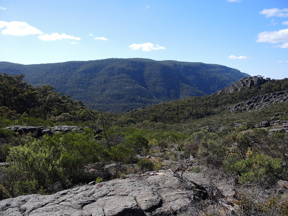 DSCN3592.JPG