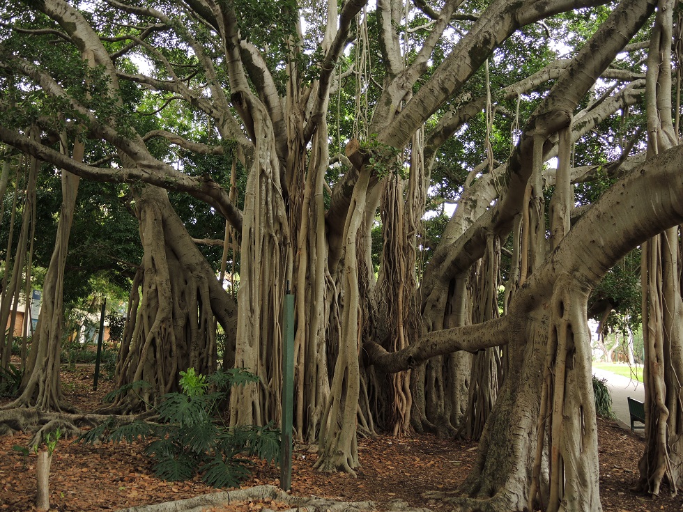 DSCN3649.JPG