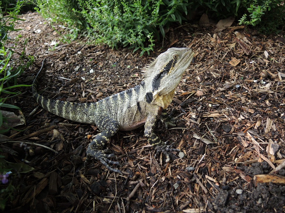 DSCN3753.JPG