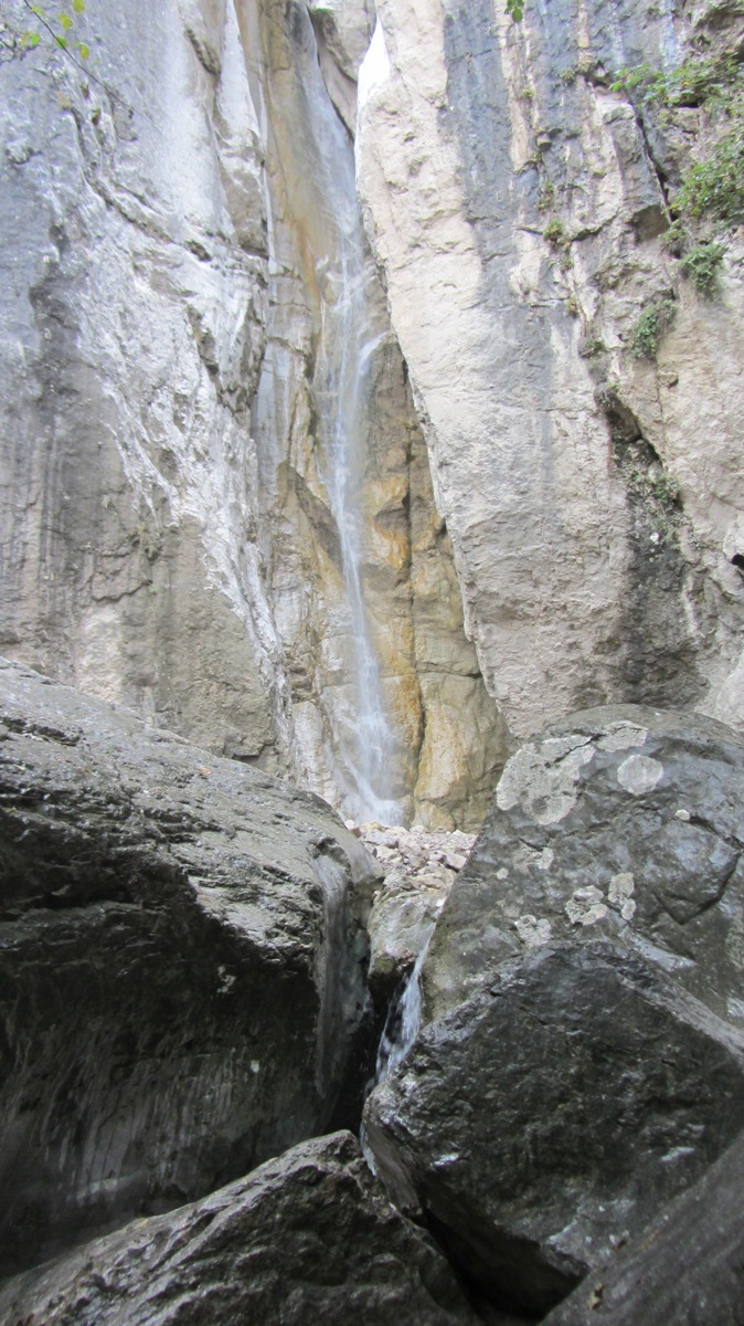 IMG_3779.JPG