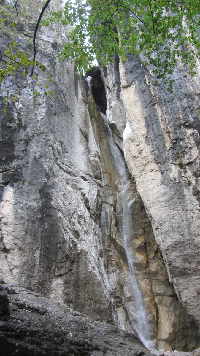 IMG_3780.JPG