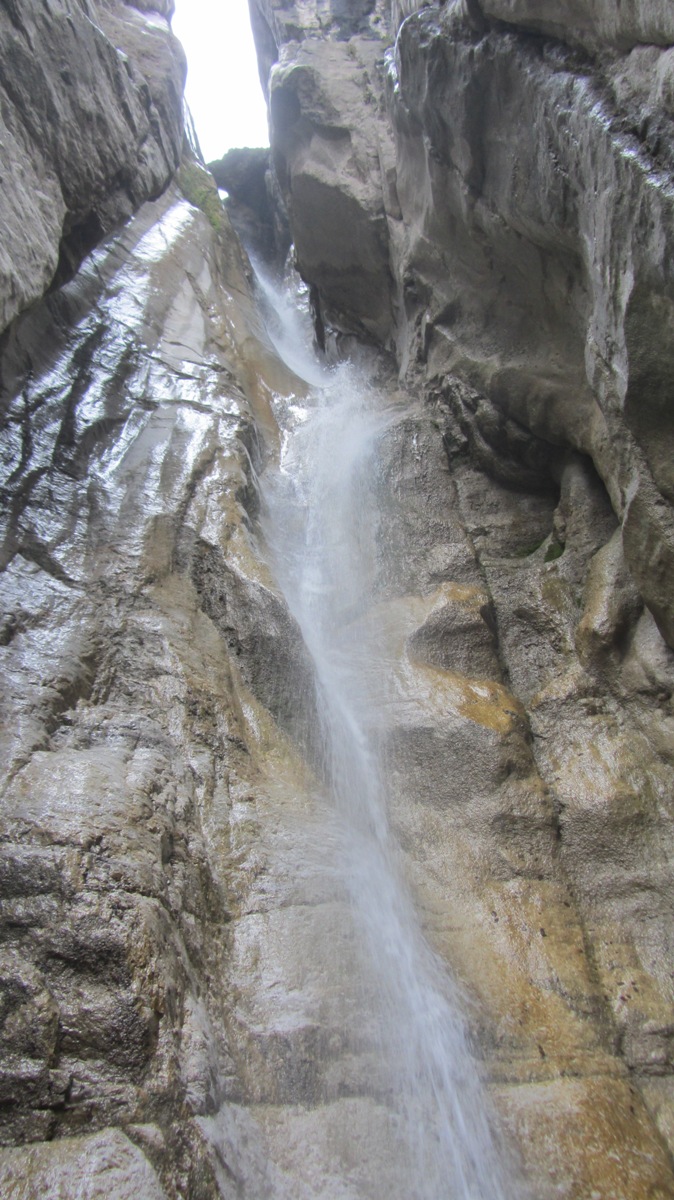 IMG_3786.JPG