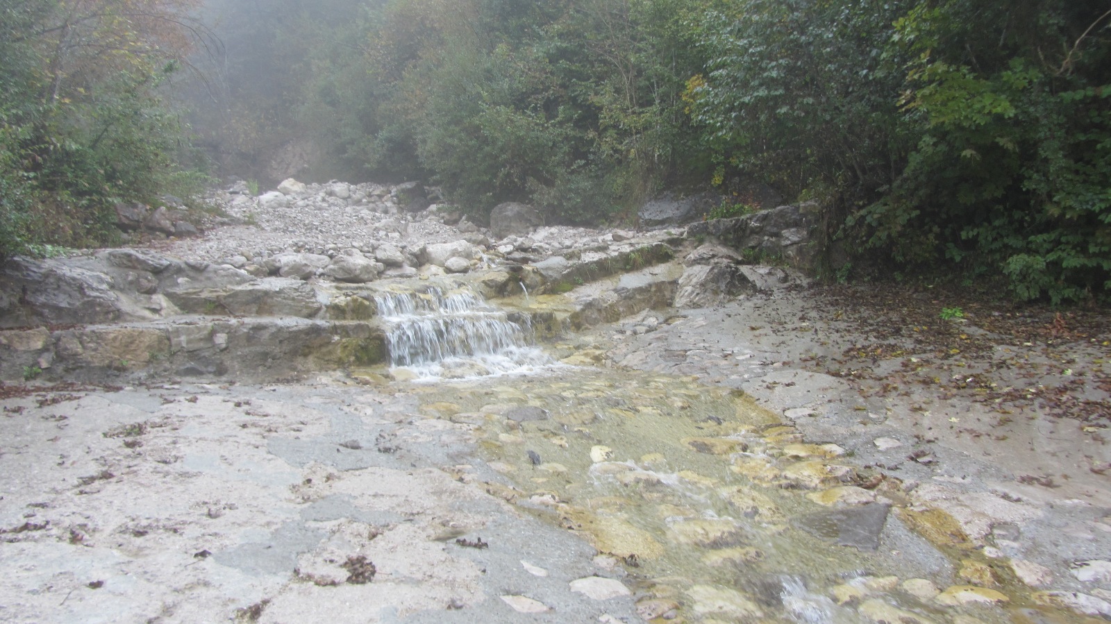 IMG_3795.JPG