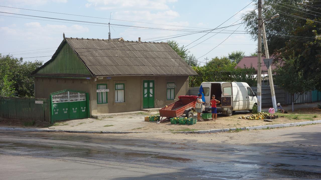 DSC03756.jpg