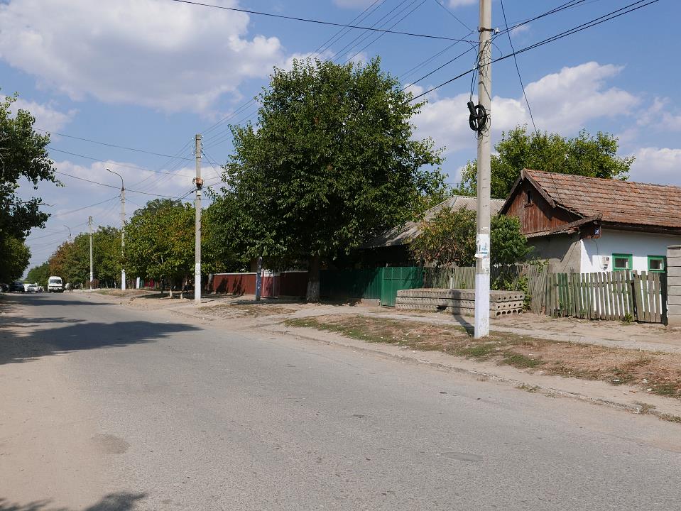 P1010533.jpg