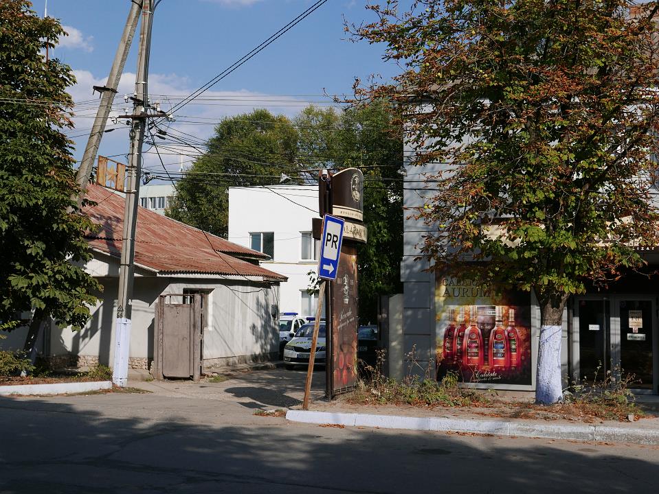 P1010537.jpg