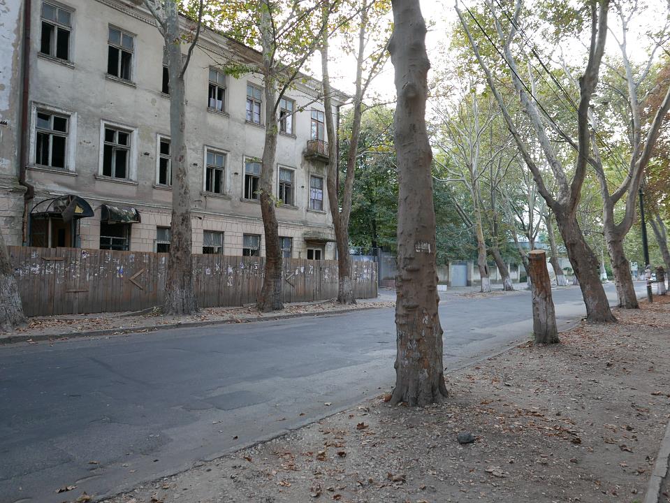 P1010557.jpg