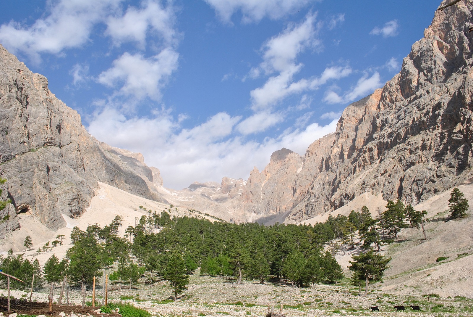 DSC_0094.JPG