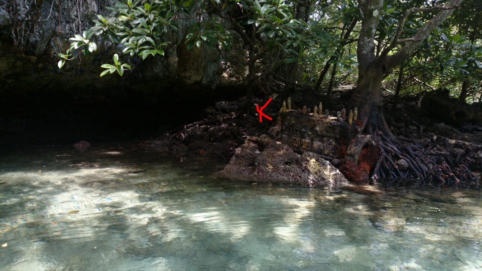 mDSC_8715.jpg