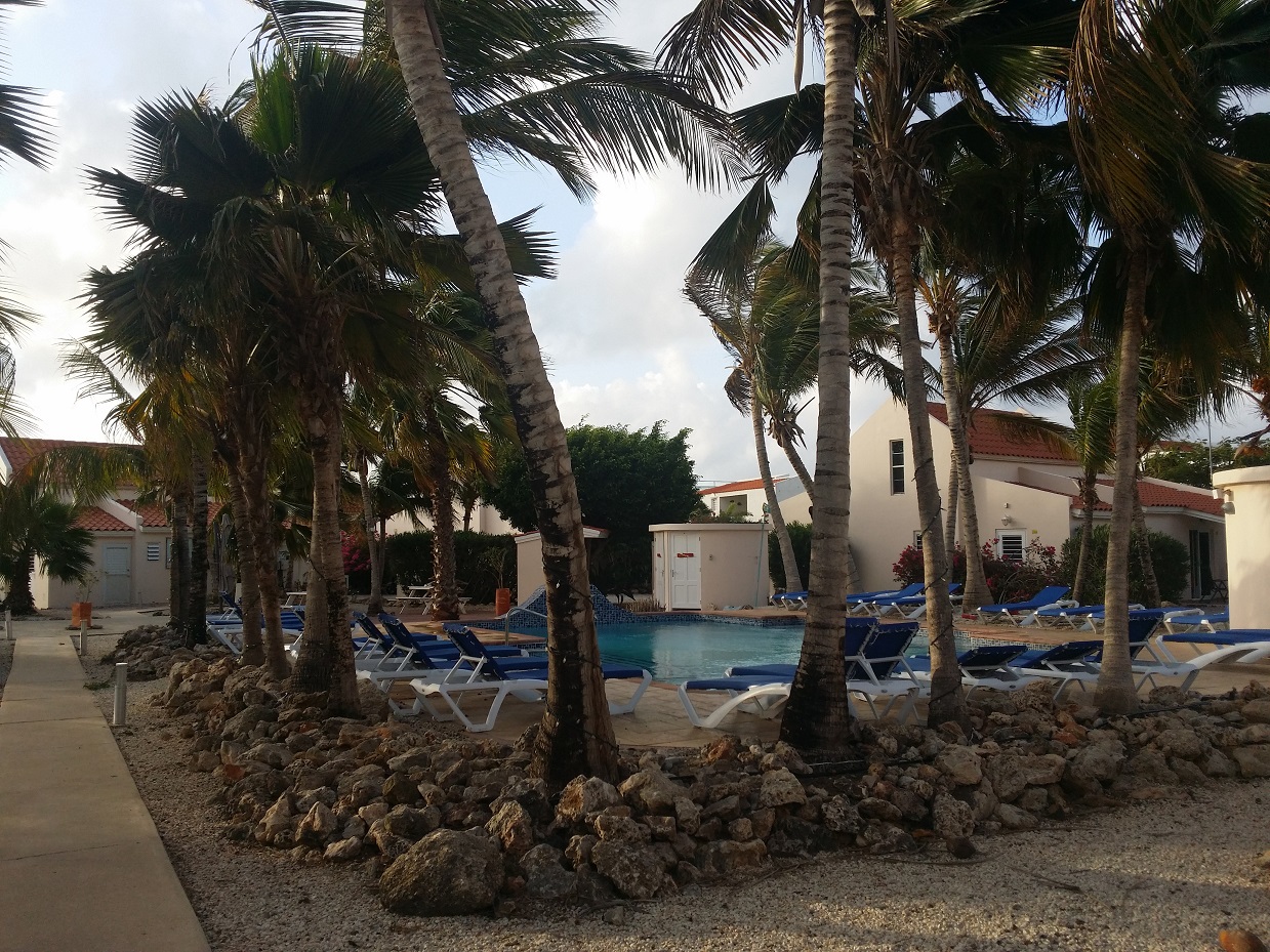 20151115_072926.jpg