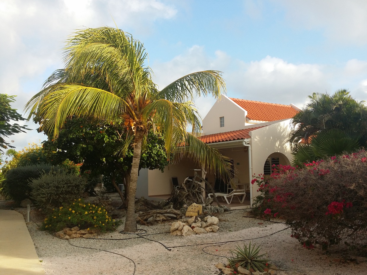 20151115_072941.jpg