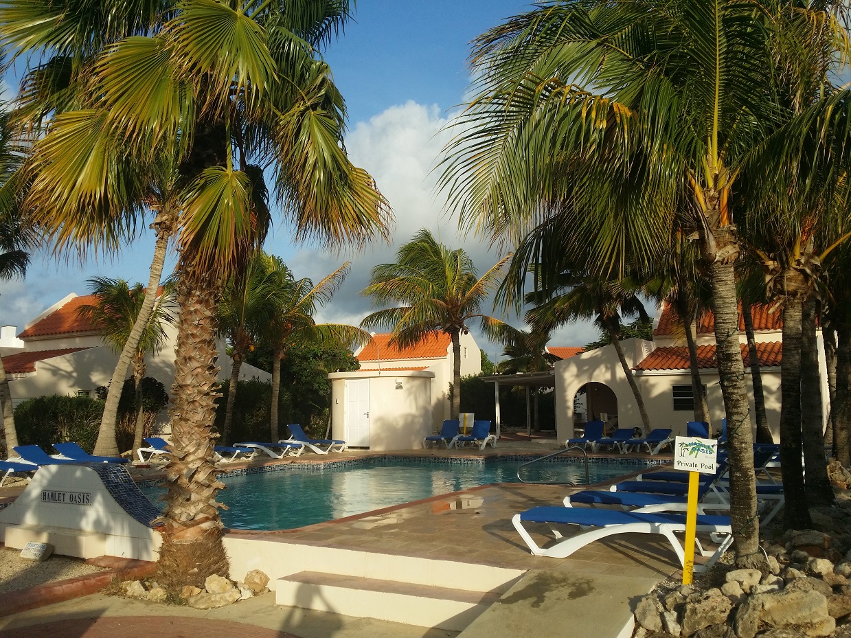 20151115_073007.jpg