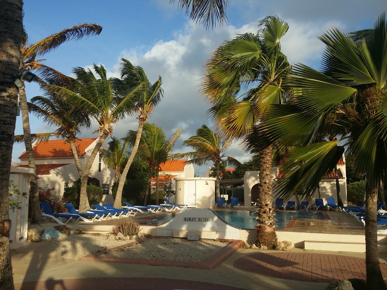 20151115_073043.jpg