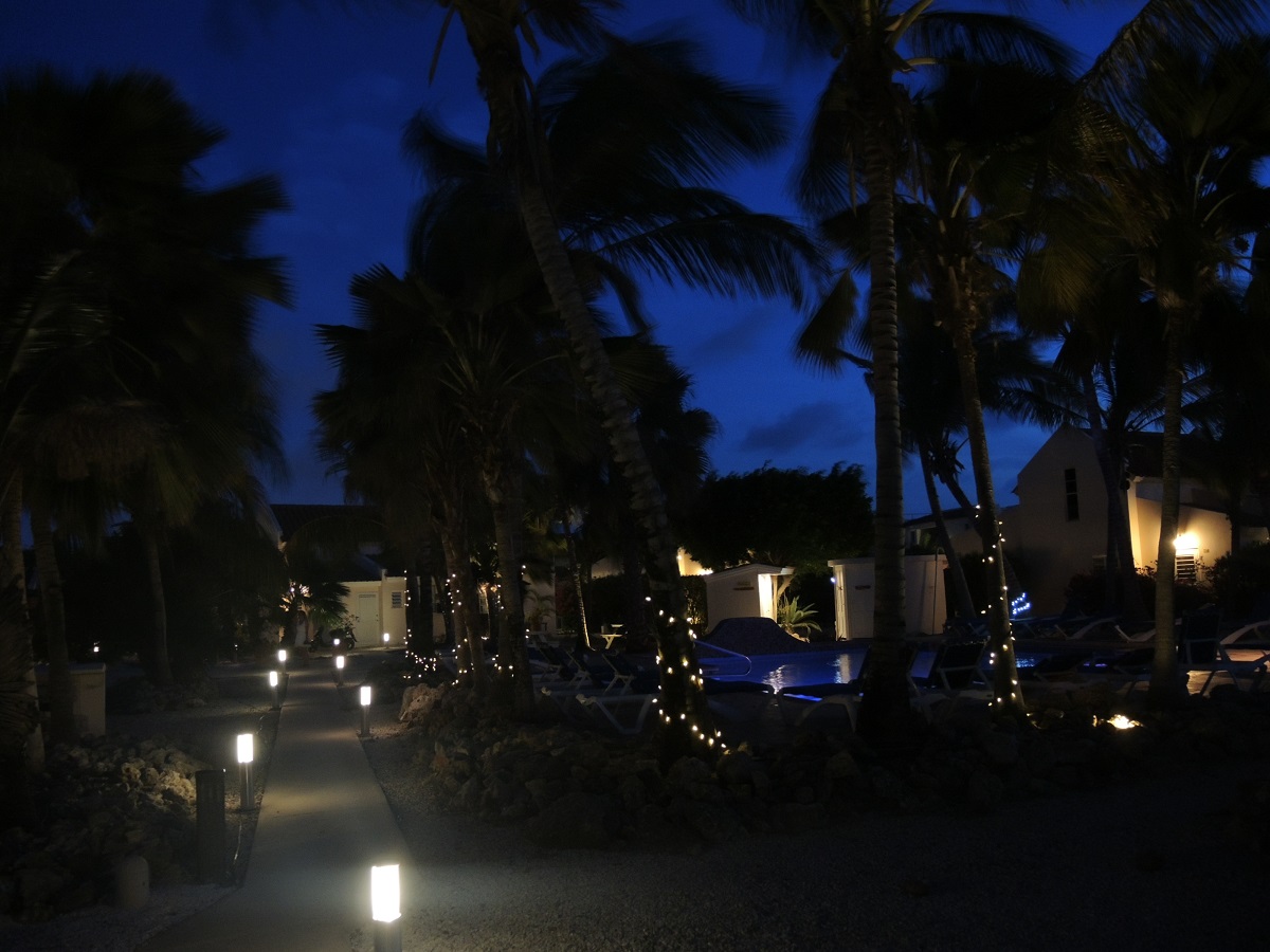 DSCN0110.JPG