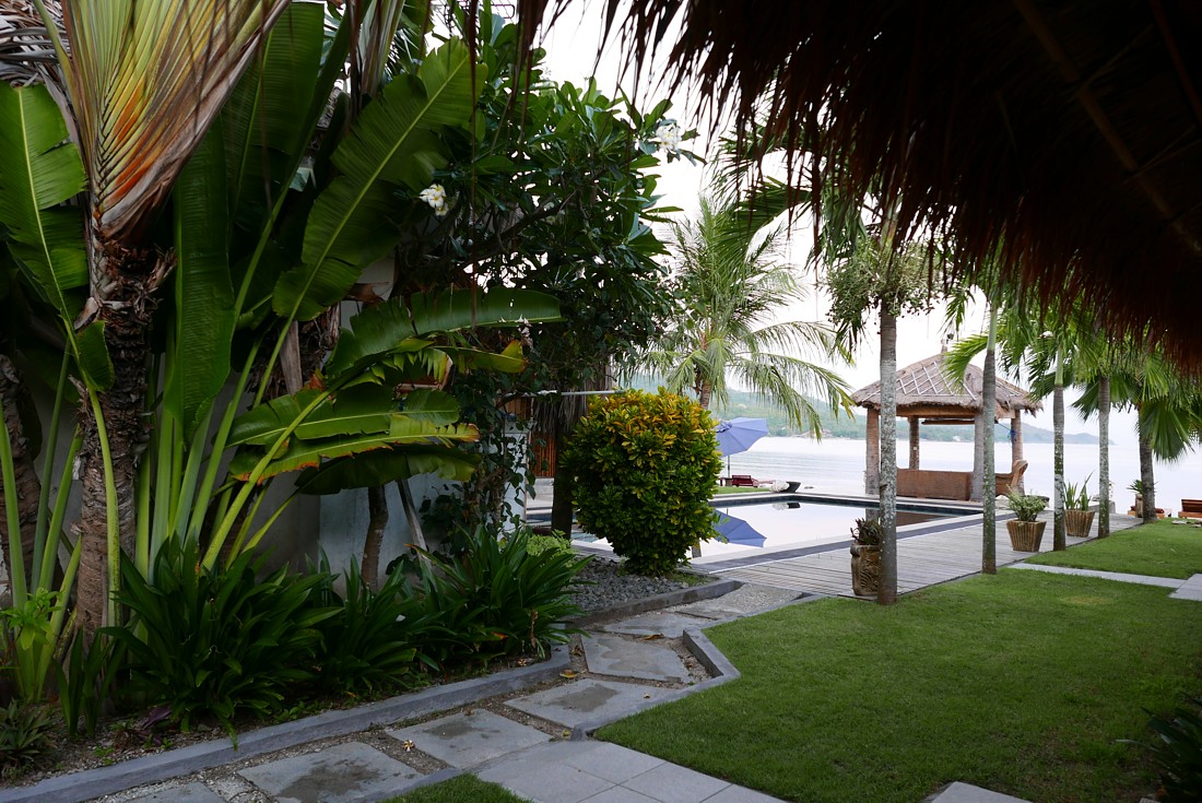 Coral Palms.JPG