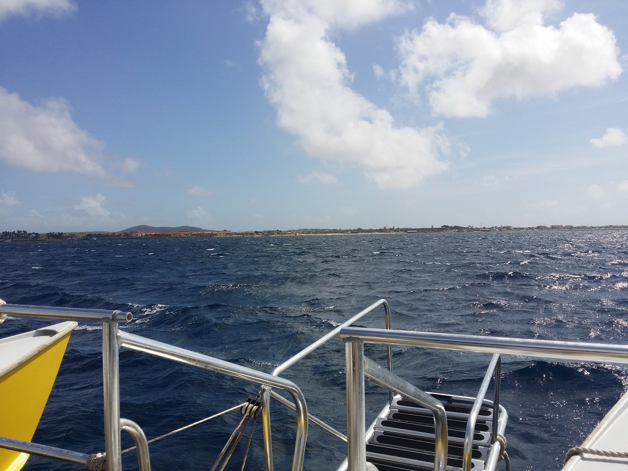 20151115_104826.jpg
