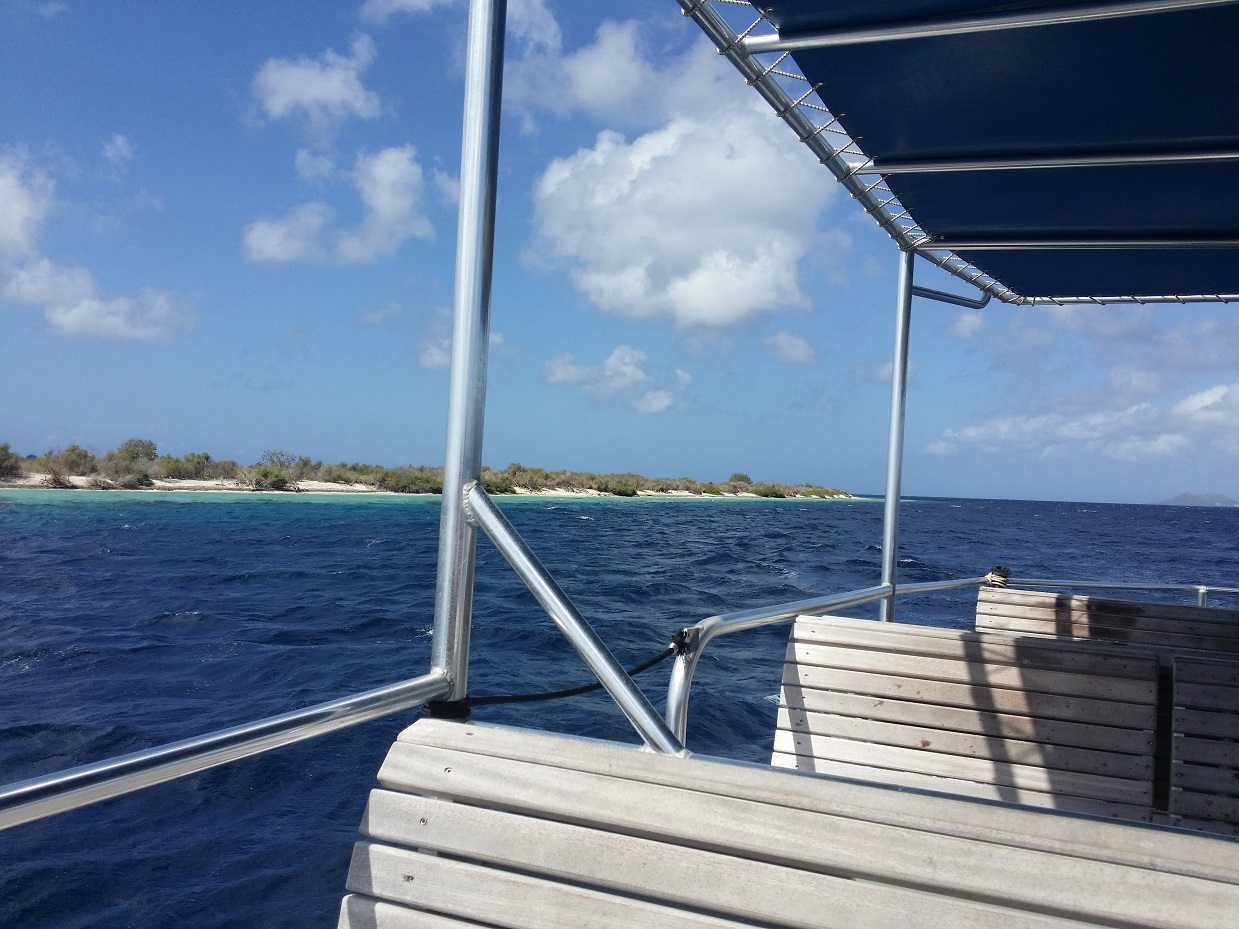 20151115_104831.jpg