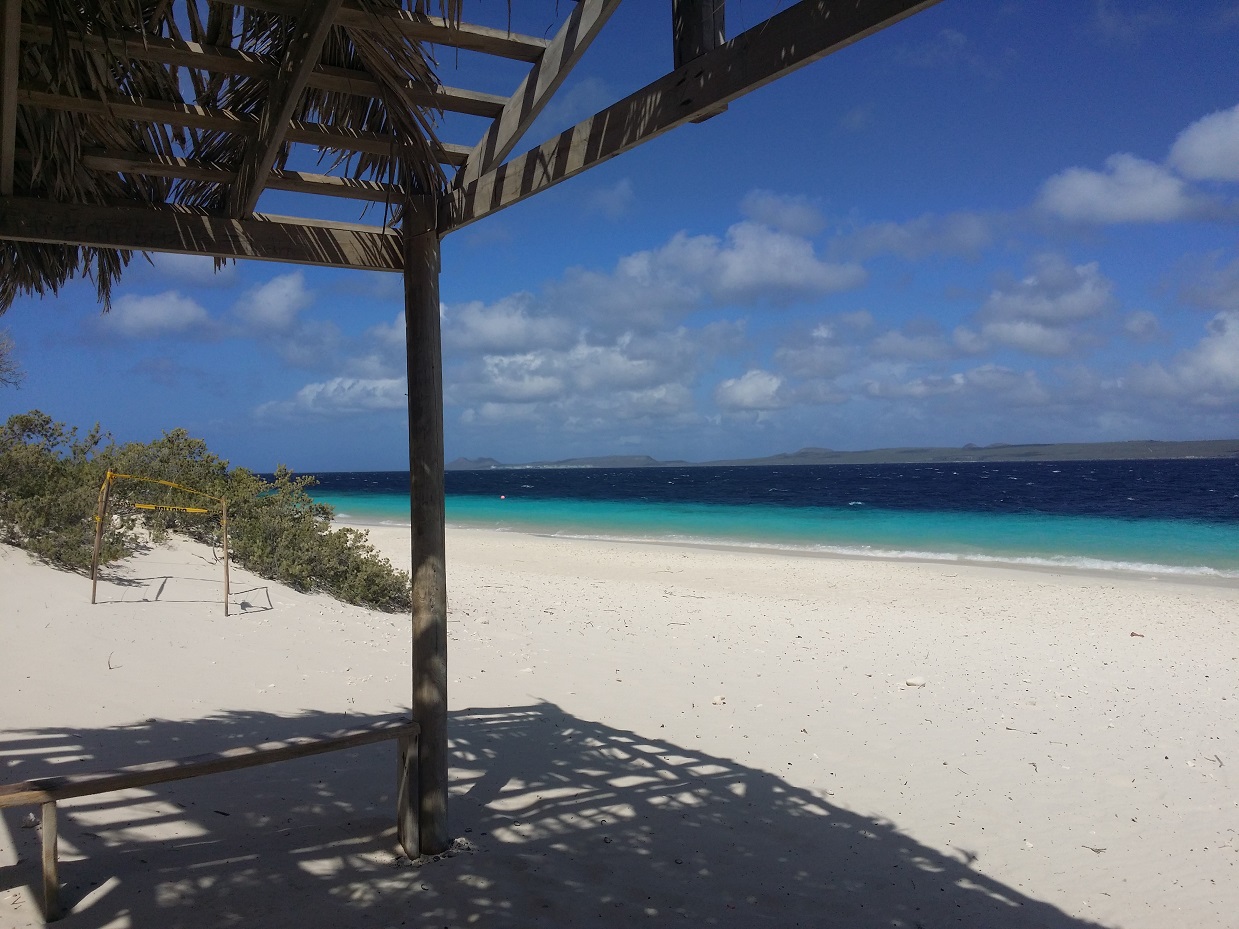 20151115_103231.jpg