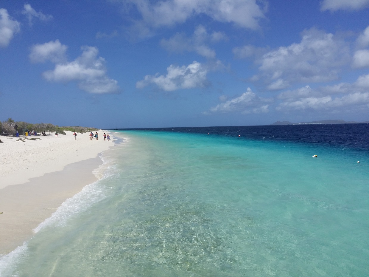 20151115_104326.jpg